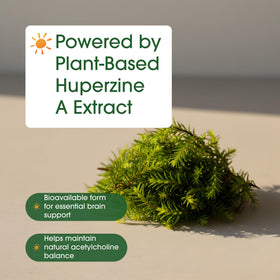 NatureBell Huperzine A 400mcg capsules avec autres compléments alimentaires