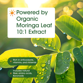 NatureBell Moringa 8 000 mg capsules avec des feuilles de moringa