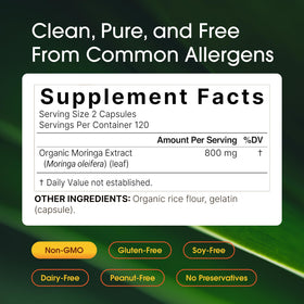 NatureBell Moringa capsules ouvertes montrant leur contenu