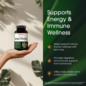 NatureBell Muscade de Mer 240 capsules avec des herbes sur le côté
