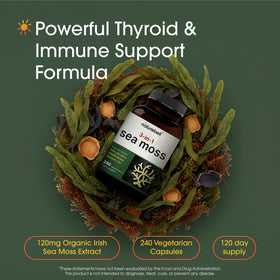 NatureBell Muscade de Mer capsules ouvertes montrant la taille
