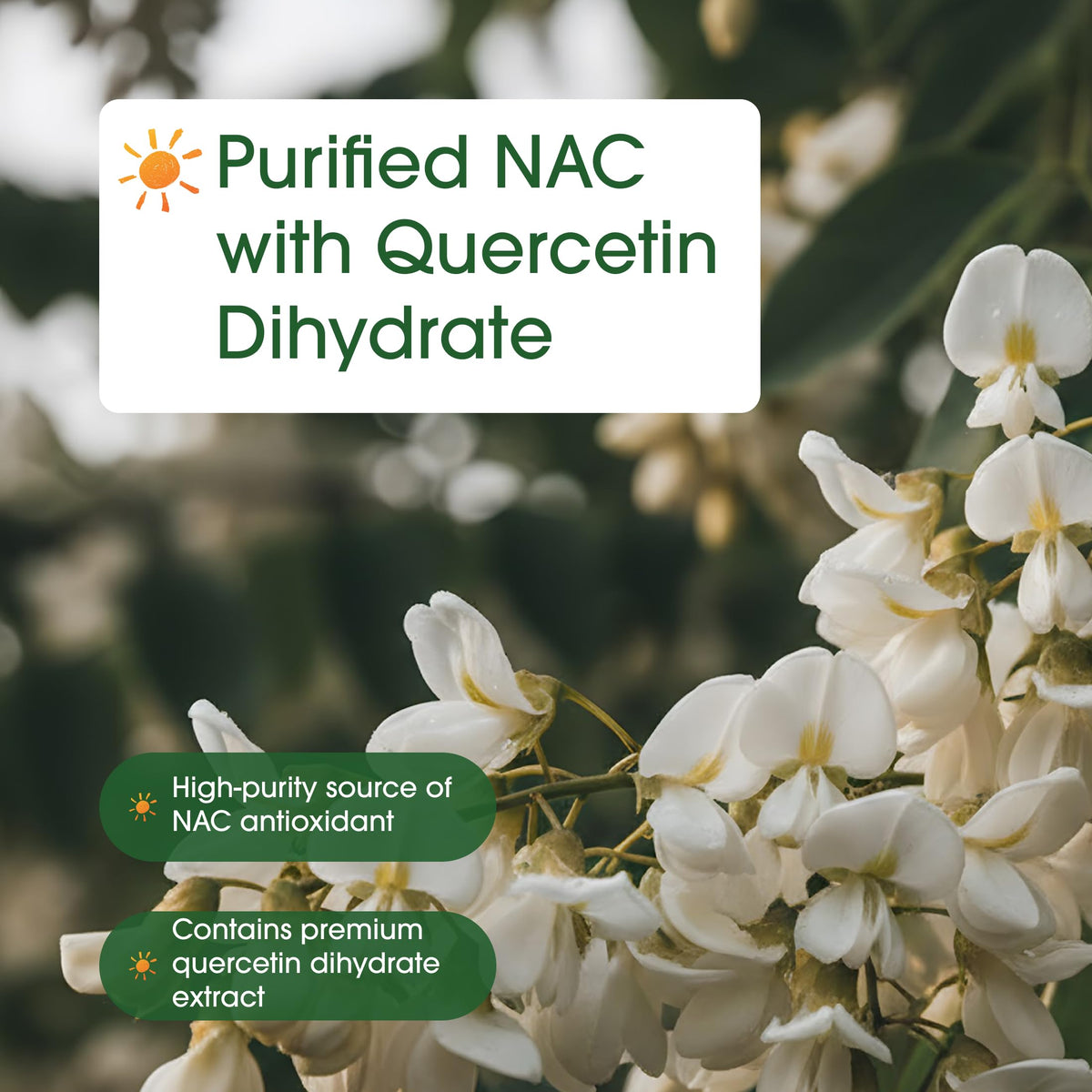 NatureBell NAC 1200mg Quercétine 240 Capsules sur une table