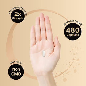 NatureBell Zinc Picolinate 100mg 2 Pack capsules in hand