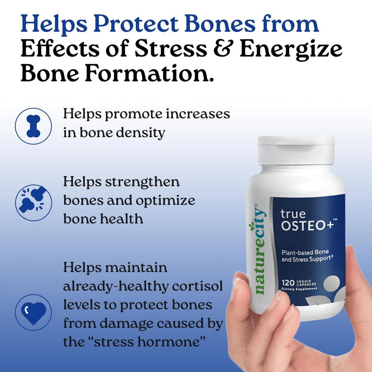 NatureCity True-Osteo Plus ingrédients principaux