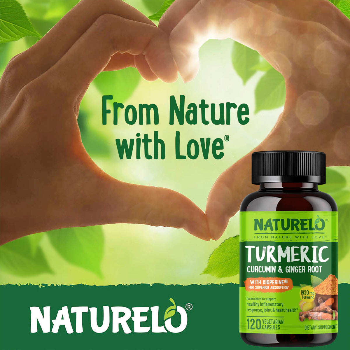 NATURELO Complément Alimentaire - Capsules de curcuma et gingembre