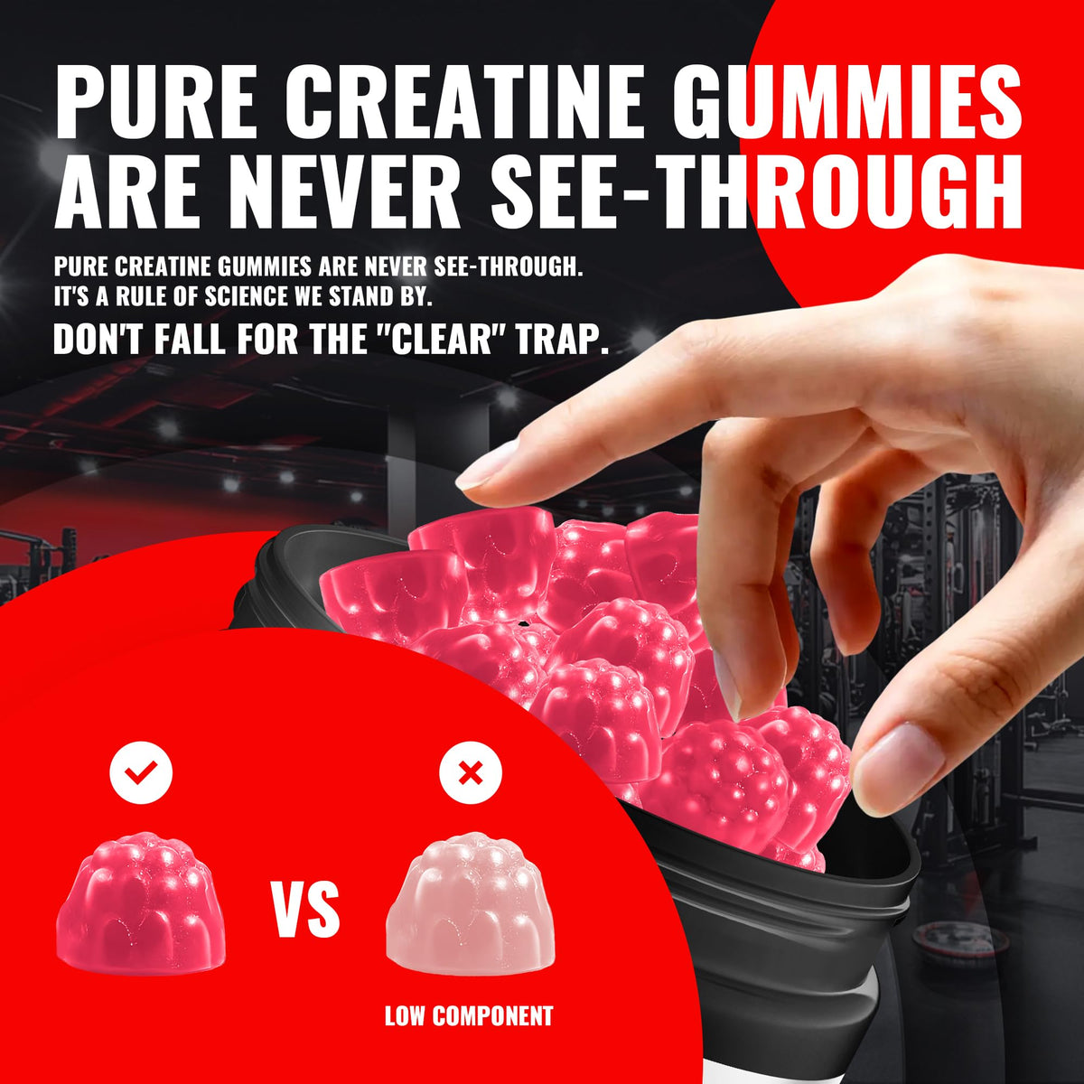 Natures Aid Gummy Créatine Monohydrate 5g étiquette détaillée
