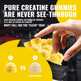 Natures Aid Gummy de Créatine Monohydrate 5g - étiquette du flacon