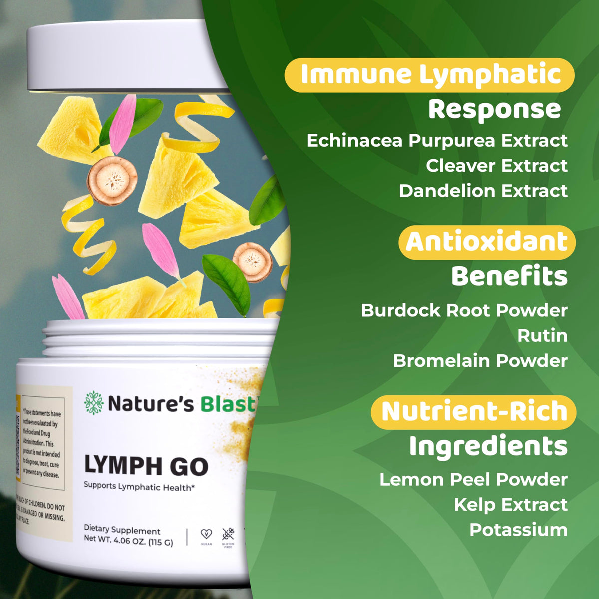 NATURES BLAST Lymph Go complément alimentaire 281g en poudre