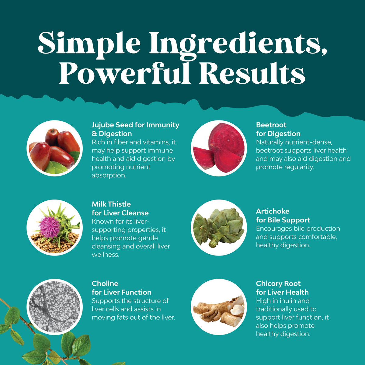 Natures Craft Complément Alimentaire Artichaut 90 Capsules vue de côté