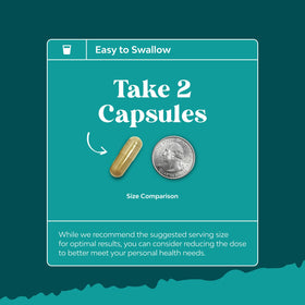 Natures Craft Complément Alimentaire Artichaut avec capsules à côté