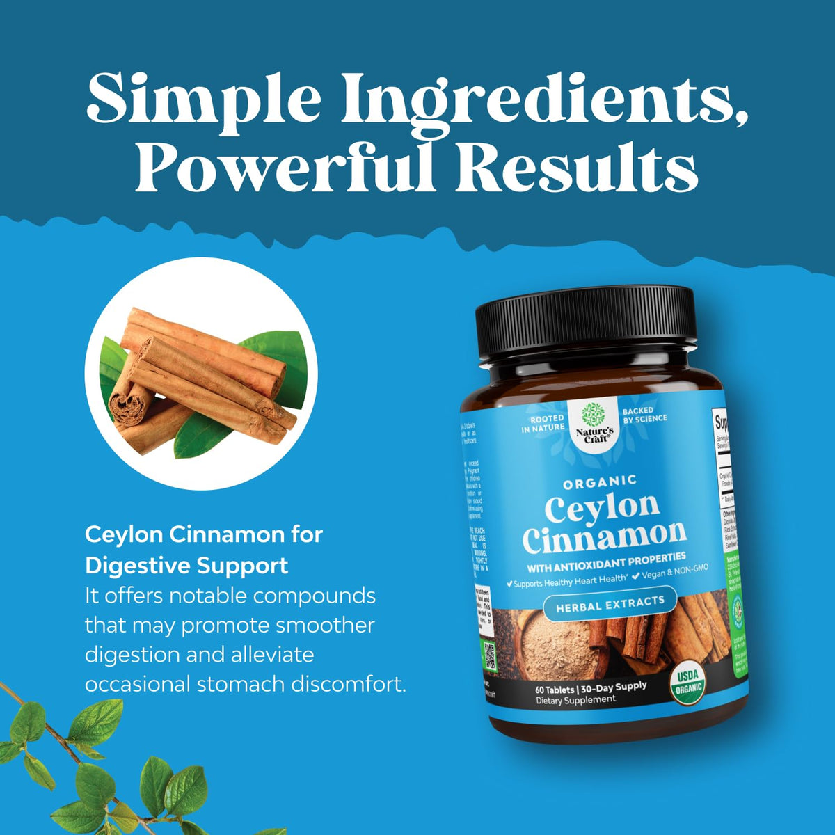 Natures Craft Complément Alimentaire Cannelle de Ceylan 1000mg - Comprimés sur une surface blanche