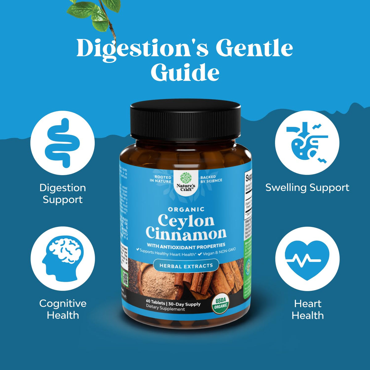 Natures Craft Complément Alimentaire Cannelle de Ceylan 1000mg - Détails des comprimés