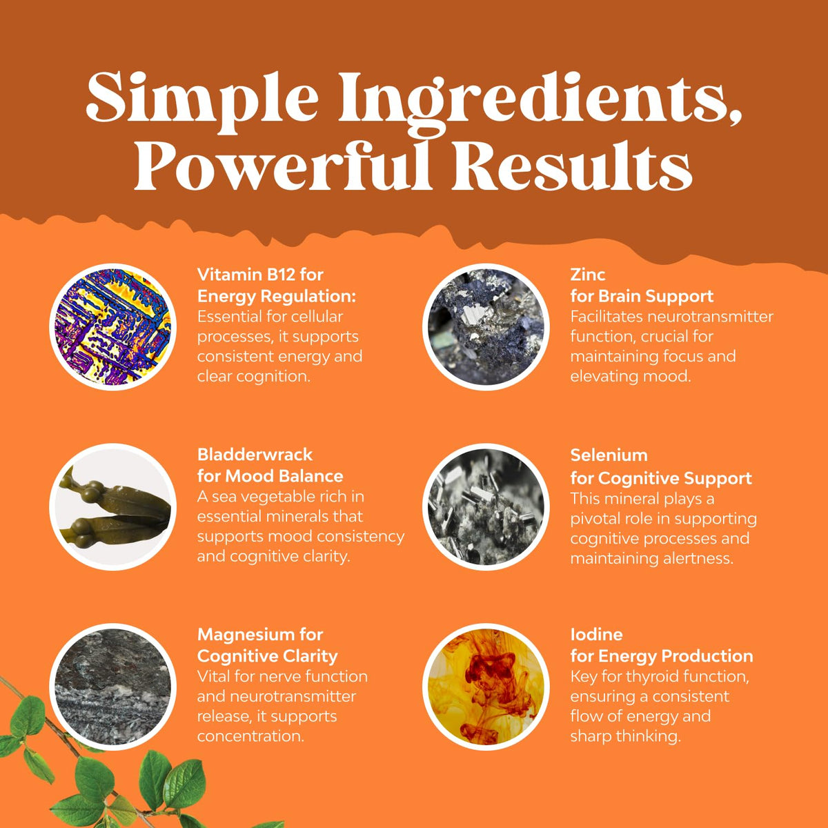 Natures Craft Complément Alimentaire Iode 120 Capsules ouverte avec capsules visibles