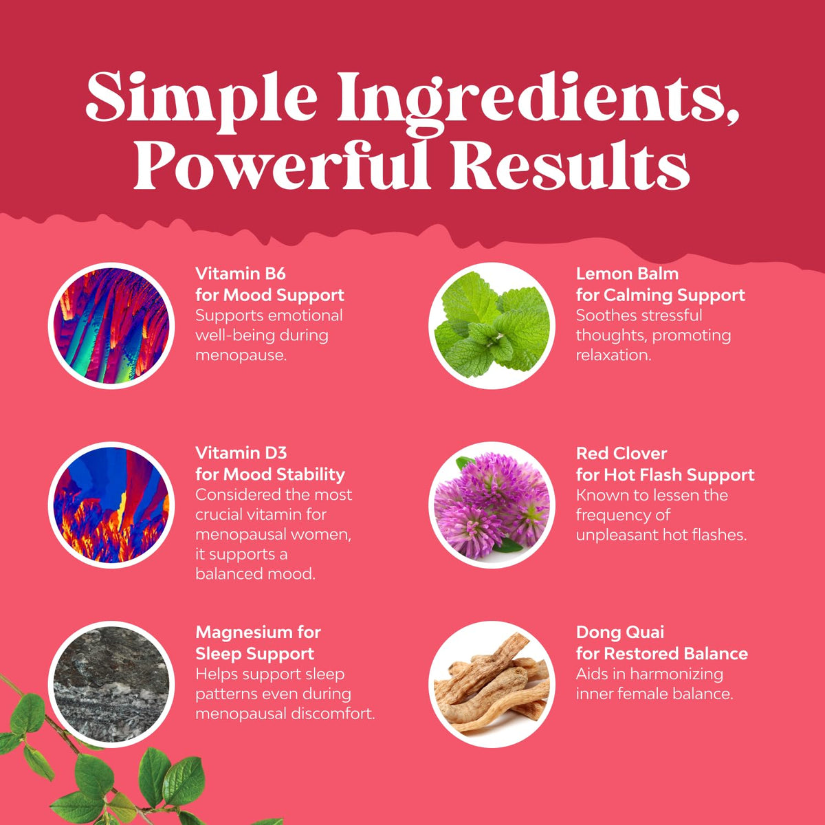 Natures Craft Compléments Alimentaires pour Femmes, capsules sur une table
