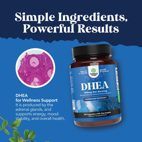 Natures Craft DHEA 100mg capsules packaging