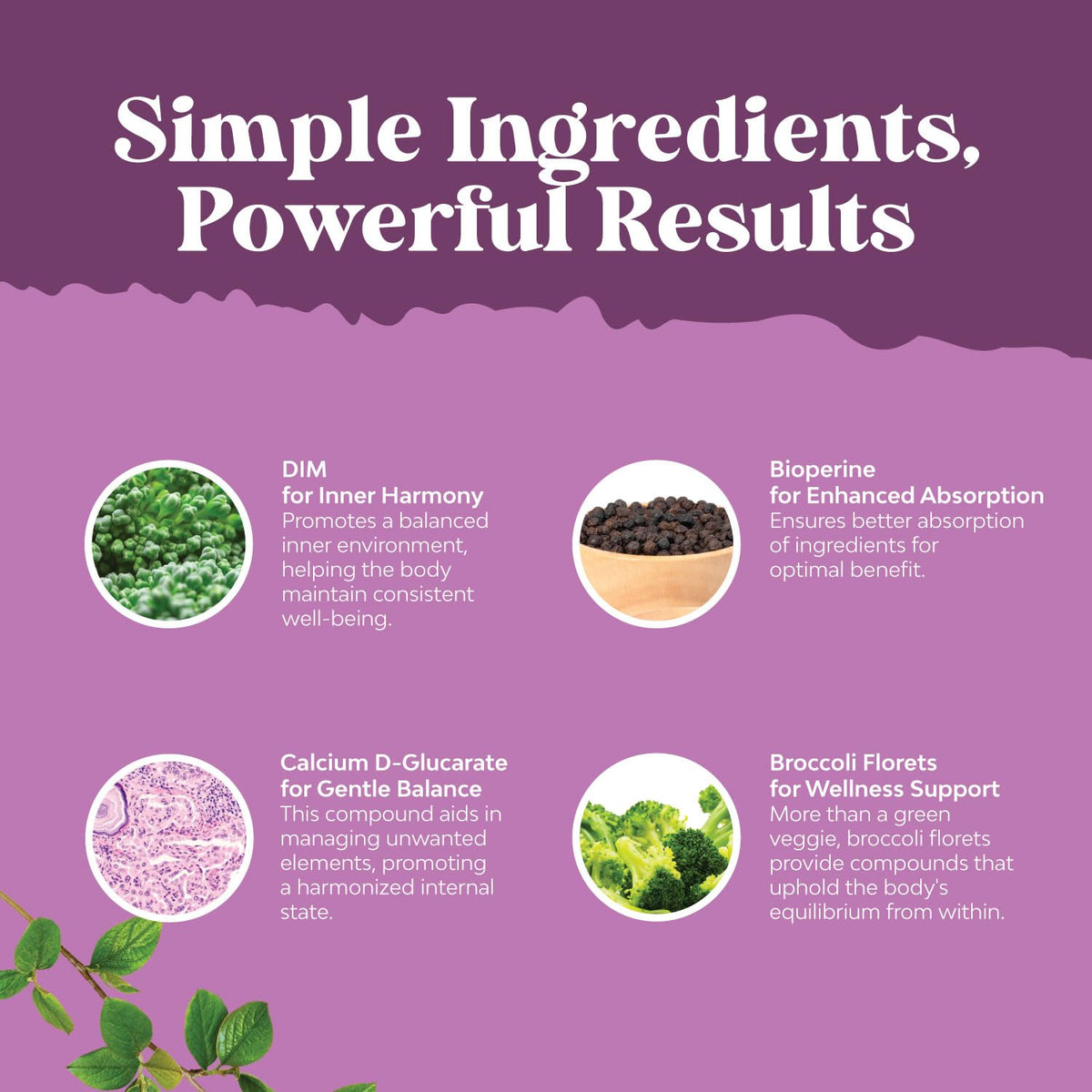 Natures Craft DIM Complément Alimentaire Capsules ouvertes
