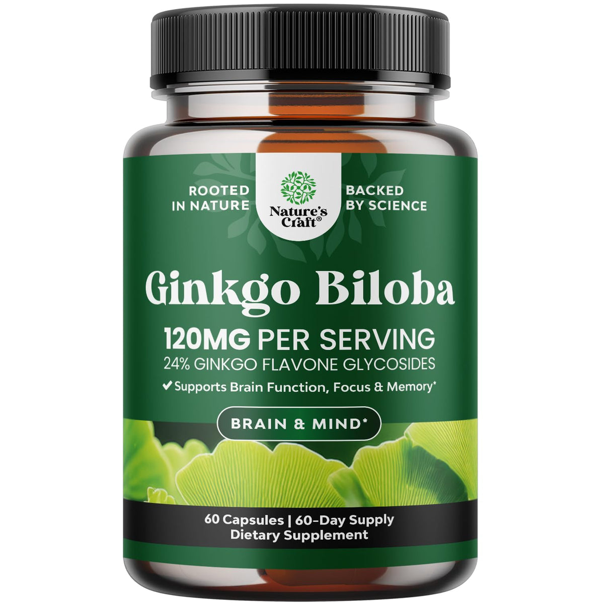 Natures Craft Ginkgo Biloba Capsules 120mg 60 Ct, packaging front view