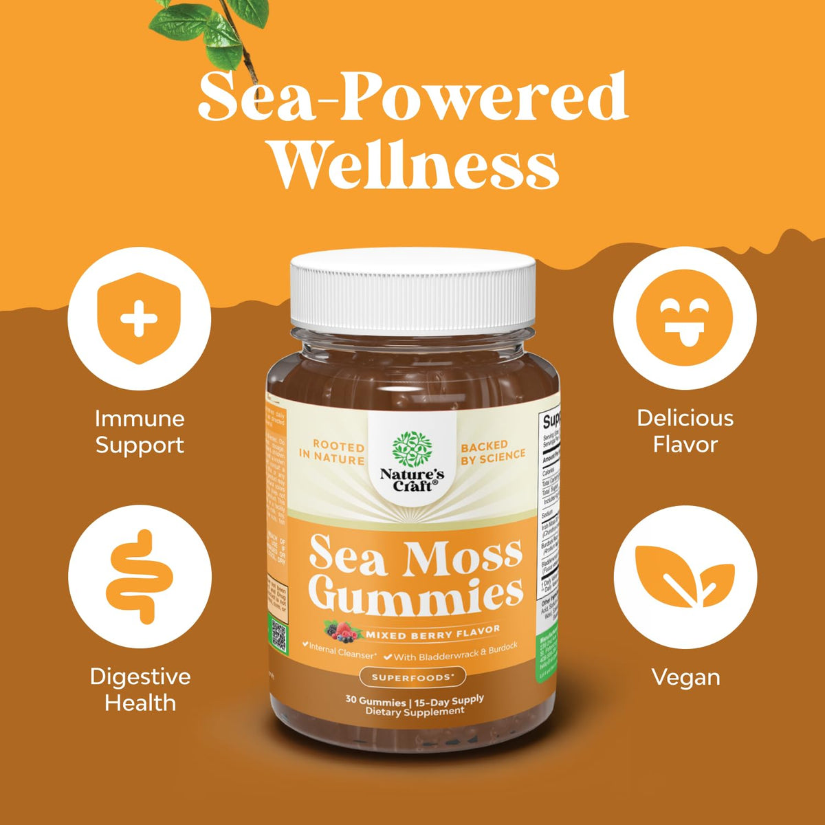 Natures Craft Gummies de Mousse de Mer, ingrédients listés