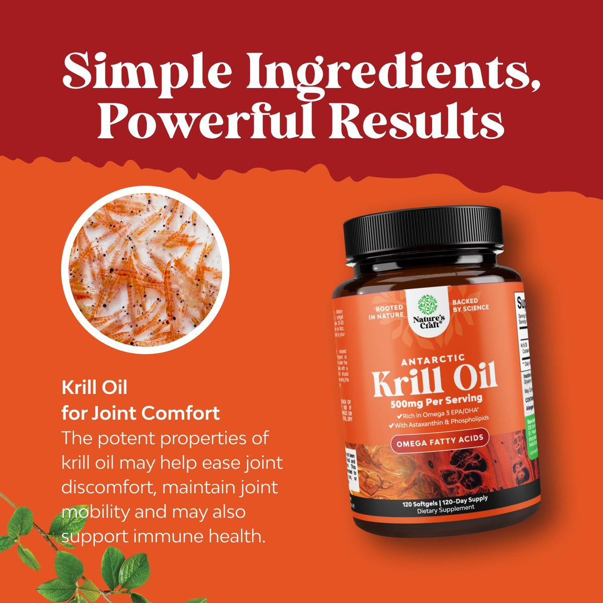 Natures Craft Huile de Krill, flacon ouvert avec capsules à l'intérieur