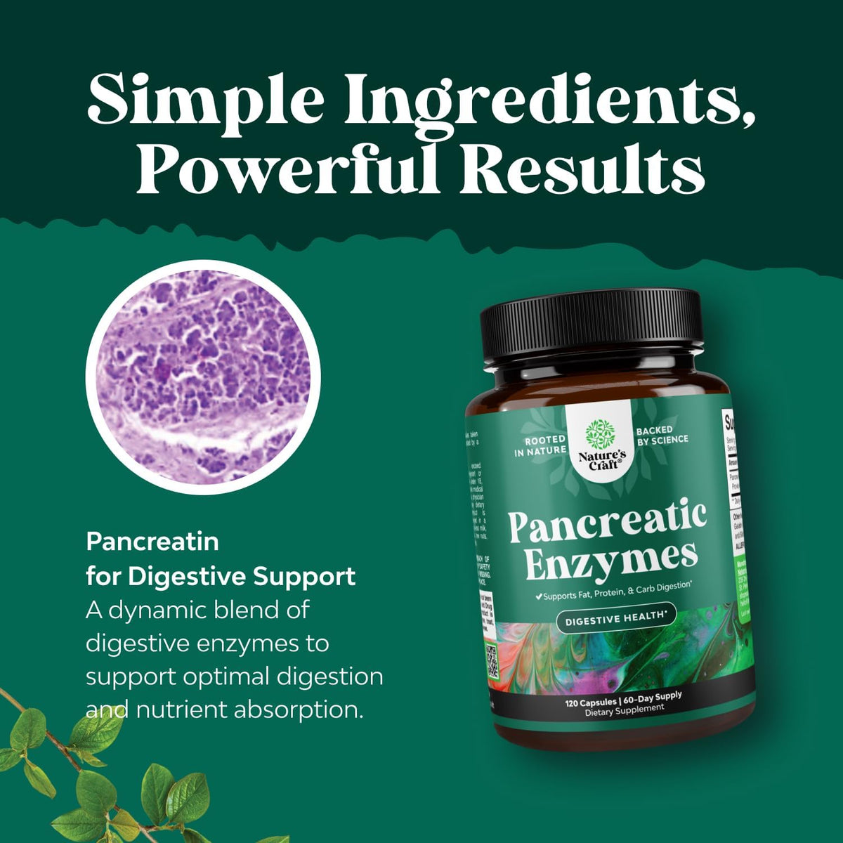 Natures Craft Multi-Enzymes 120 Capsules à côté d'autres compléments alimentaires