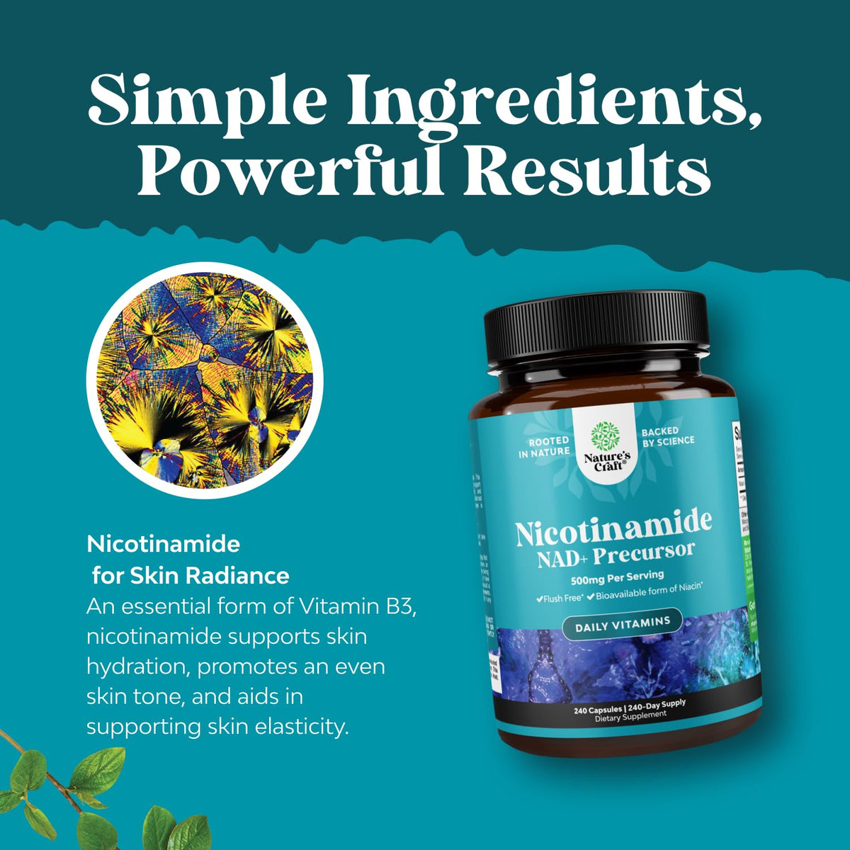 Natures Craft Nicotinamide 500mg flacon de 240 capsules