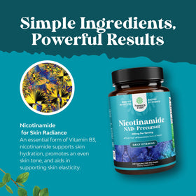 Natures Craft Nicotinamide 500mg flacon de 240 capsules