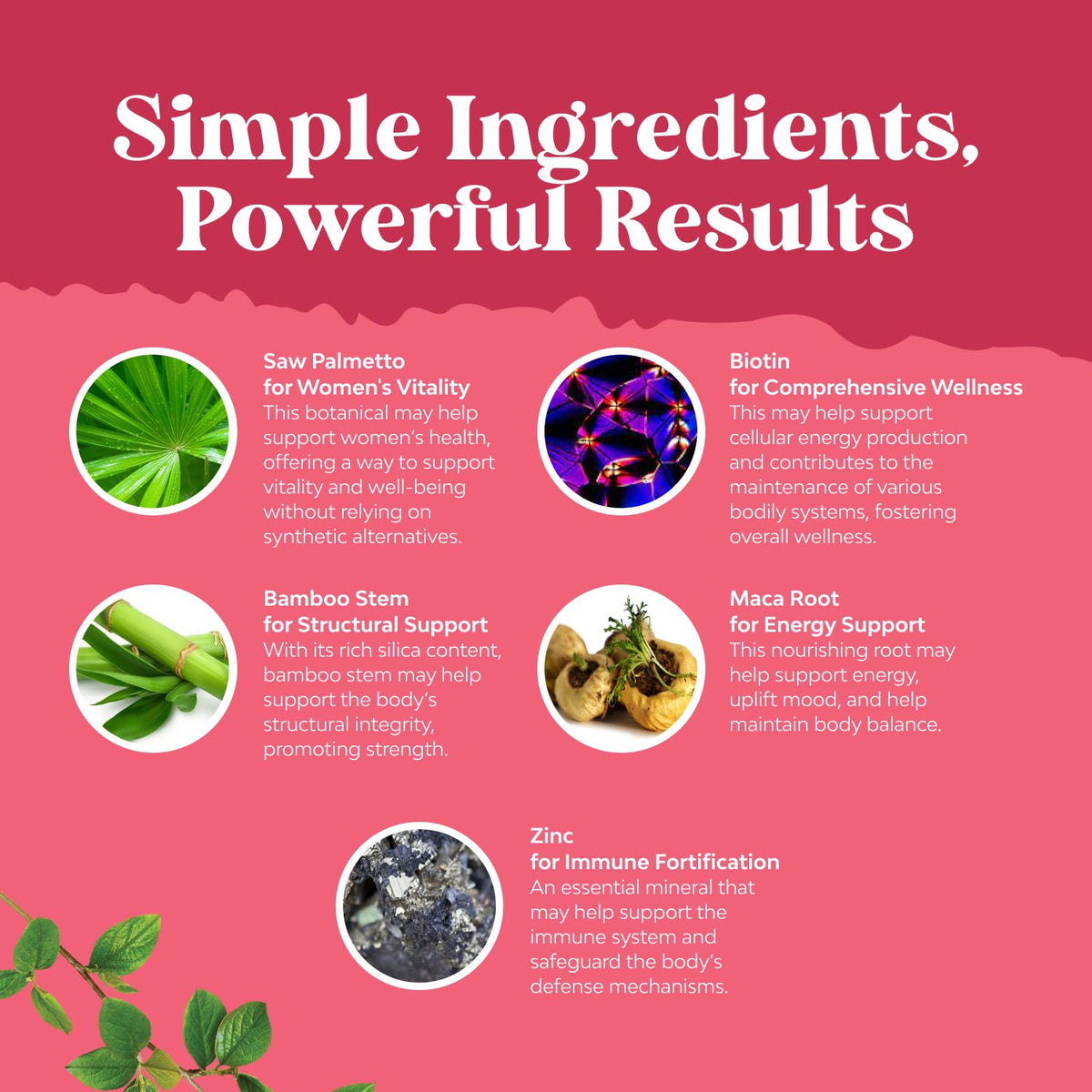 Natures Craft Saw Palmetto 500mg capsules emballage