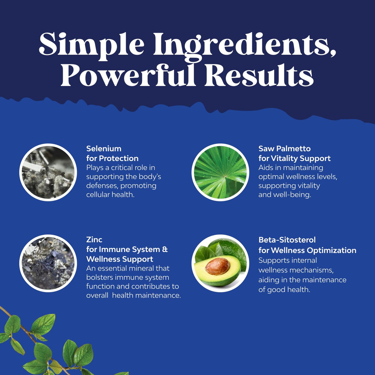 Natures Craft Saw Palmetto capsules sur un fond blanc