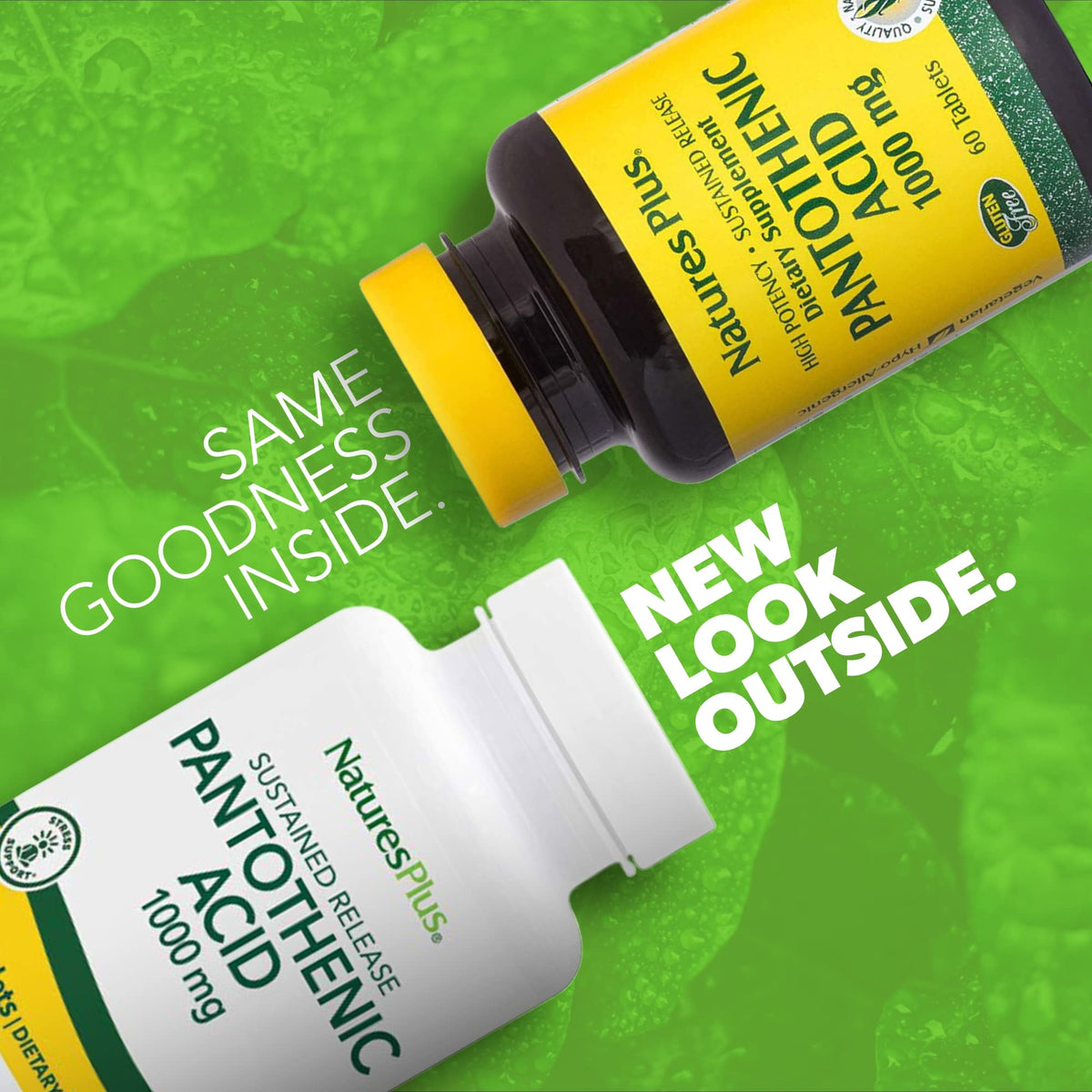 NaturesPlus Acide Pantothénique 1000 mg étiquette avec ingrédients
