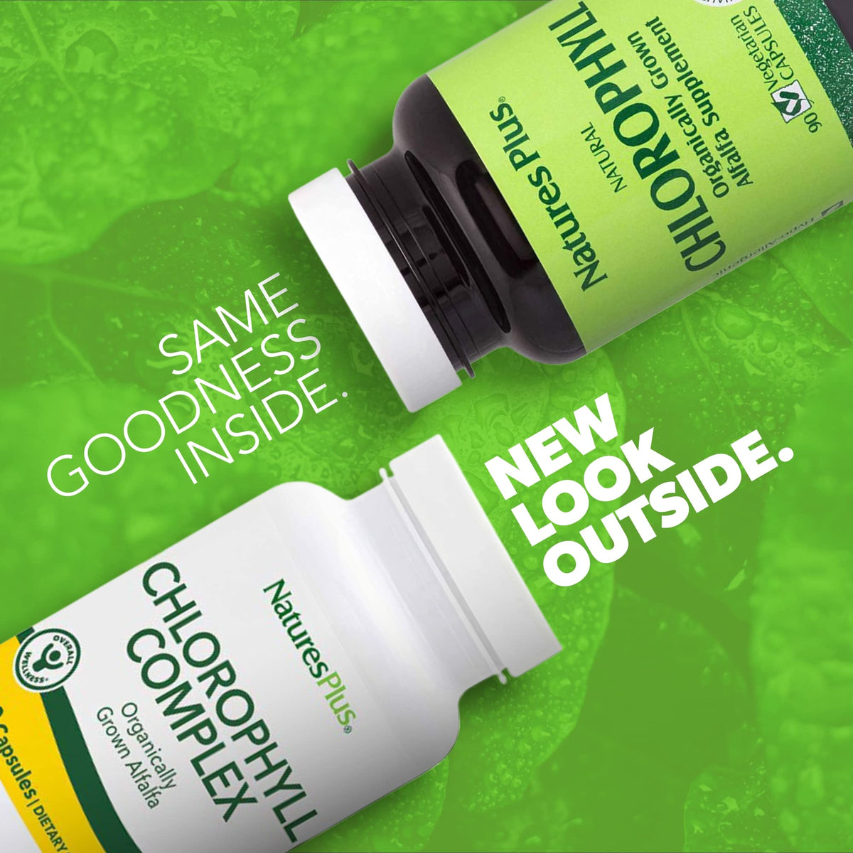 NaturesPlus Chlorophyll Complex bottle side view