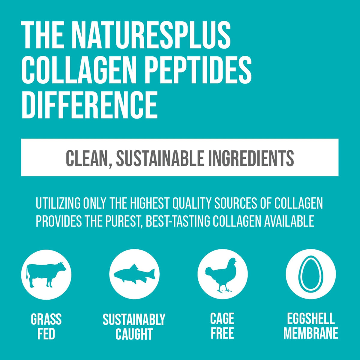 NaturesPlus Collagen Peptides 449g poudre sur une table avec des fruits