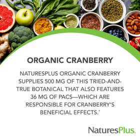 NaturesPlus Cranberry 500 mg capsules ouvertes montrant le contenu
