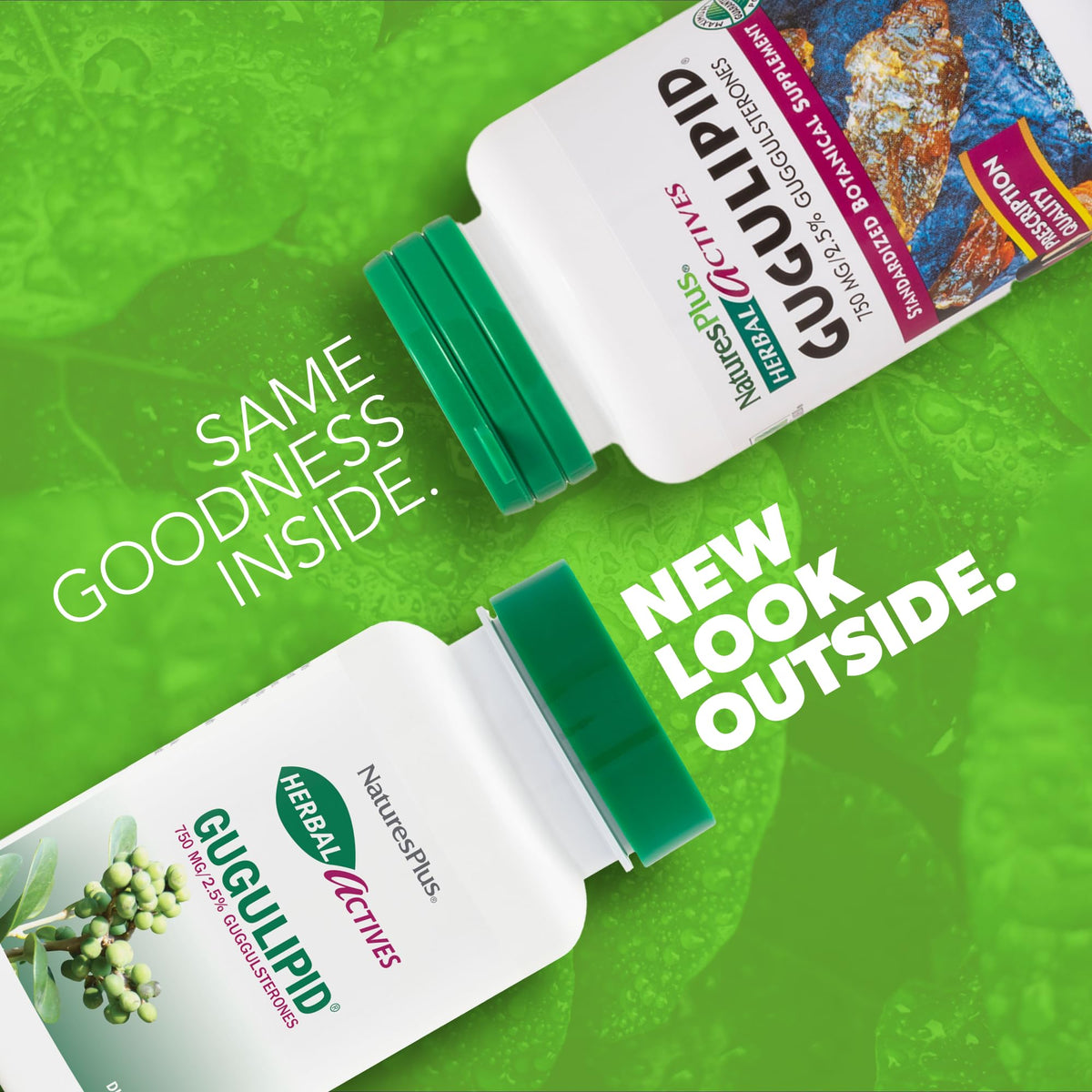 NaturesPlus Gugulipid 750 mg boîte avec étiquettes