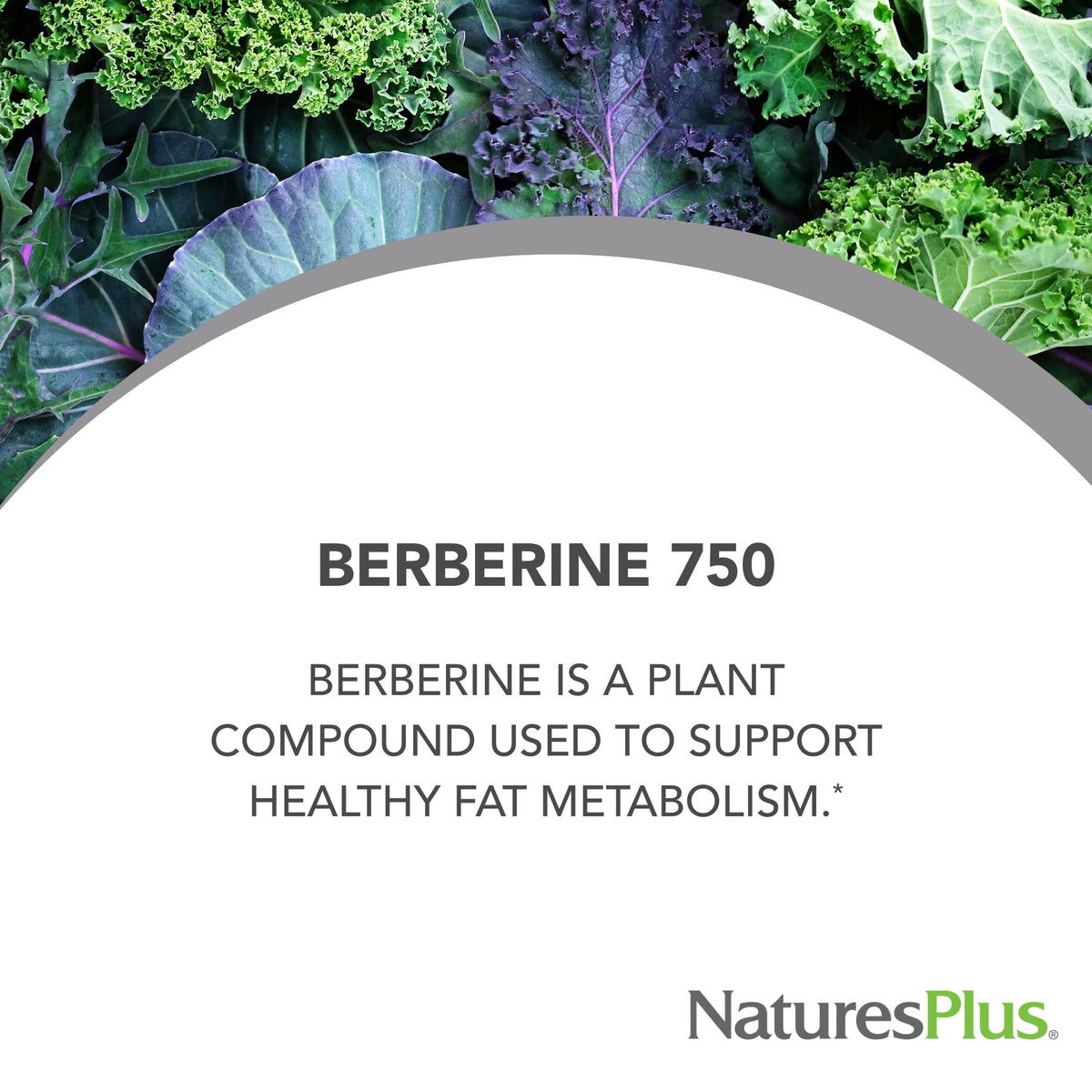 NaturesPlus PRO Berberine 750 mg capsules on a table