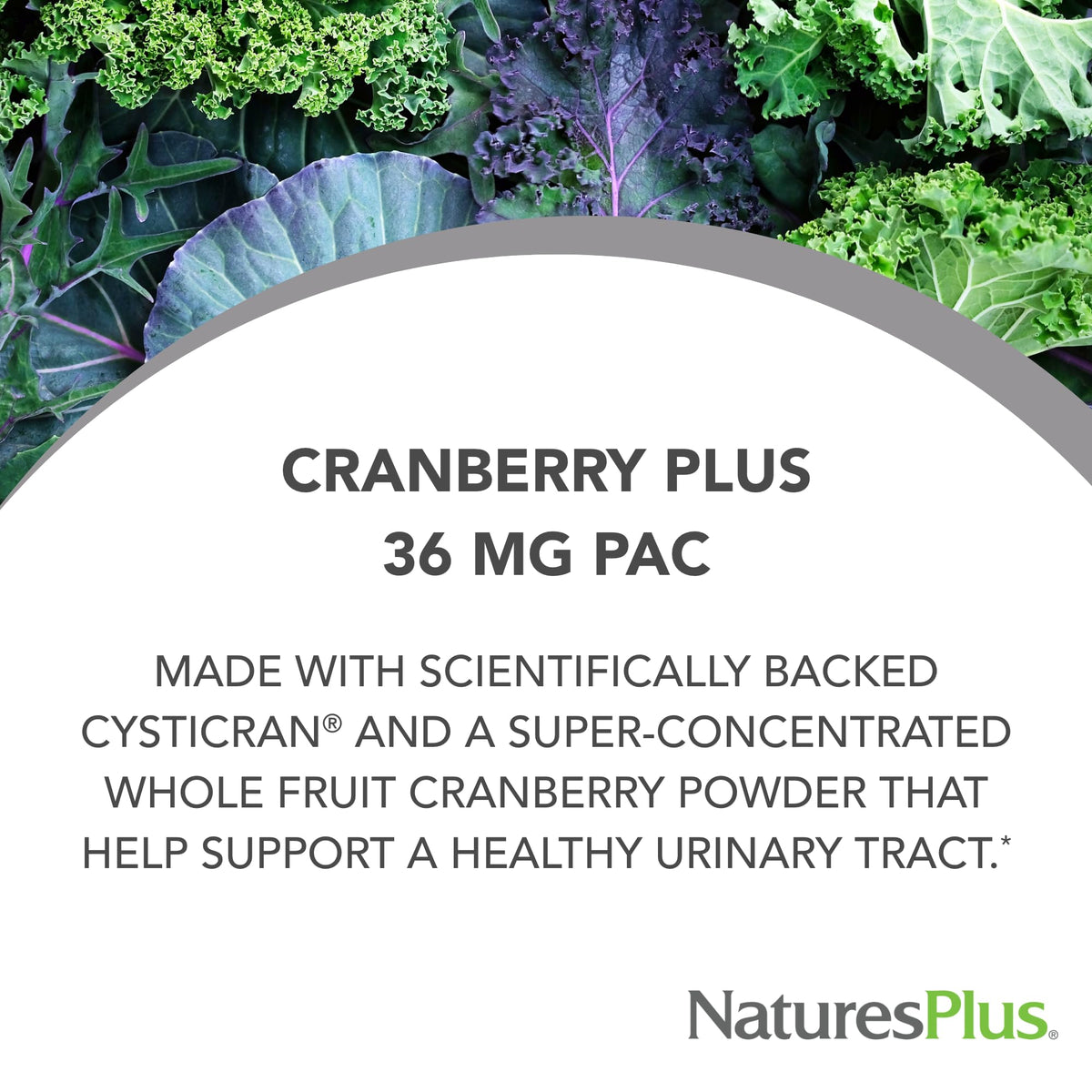 NaturesPlus PRO Cranberry Plus 60 capsules montrant l'étiquette