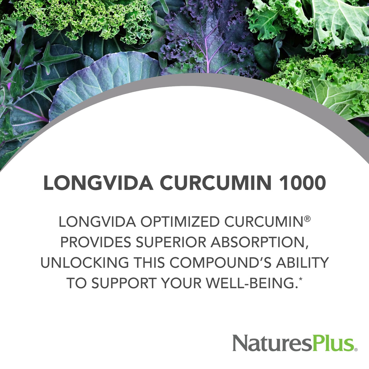 NaturesPlus PRO Curcumin Longvida 1000 mg mini-comprimés à l'intérieur