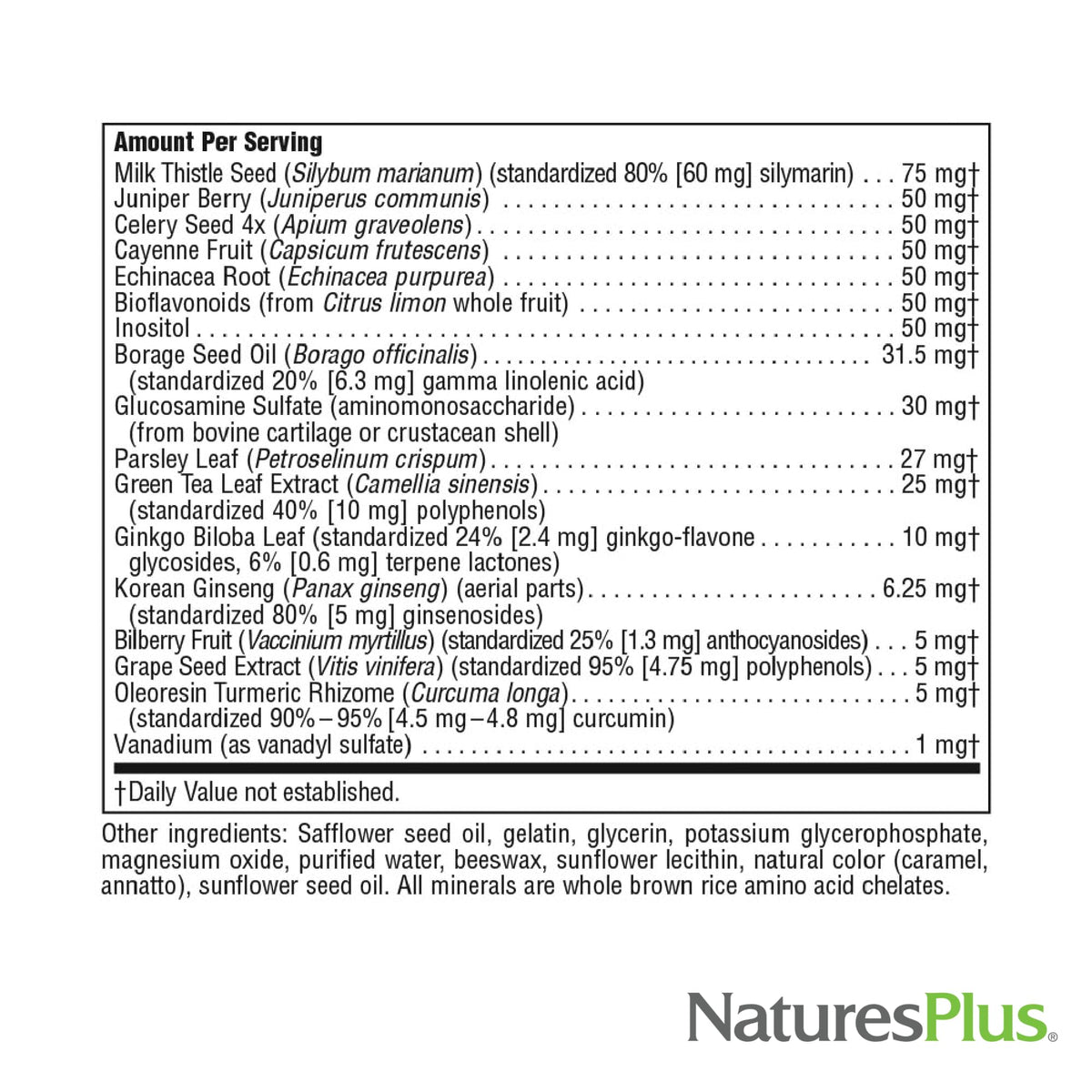 NaturesPlus Regeneration gélules ouvertes, montrant la taille