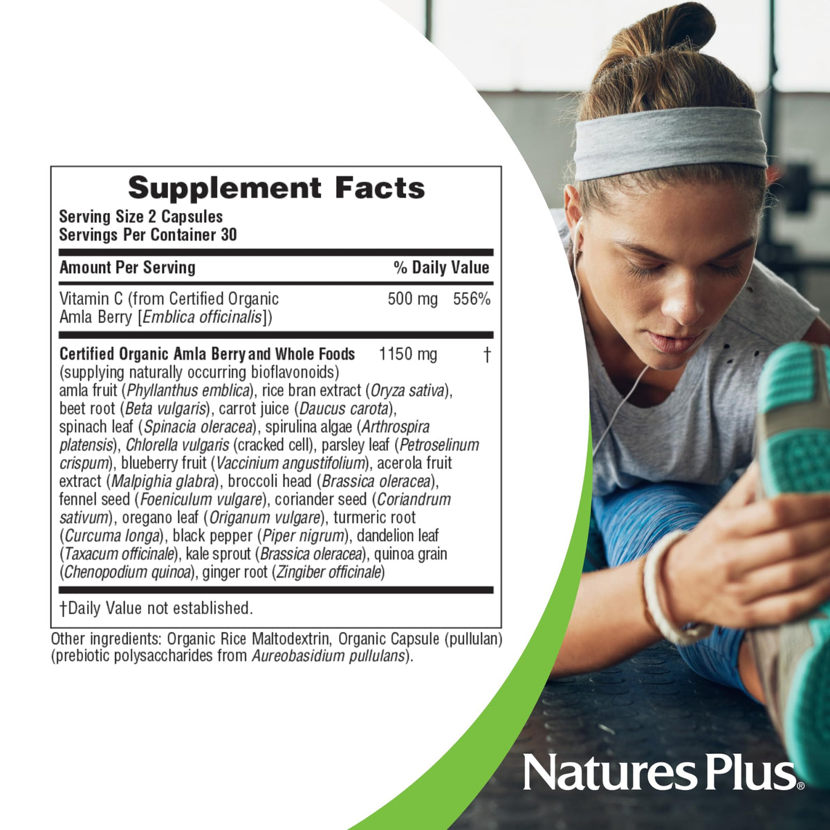 NaturesPlus Source of Life Garden Vitamine C capsules bio