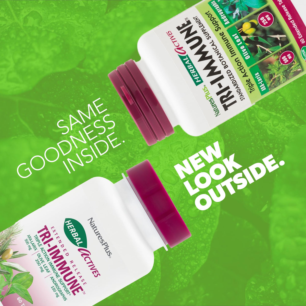 NaturesPlus Tri-daily wellness comprimés avec emballage