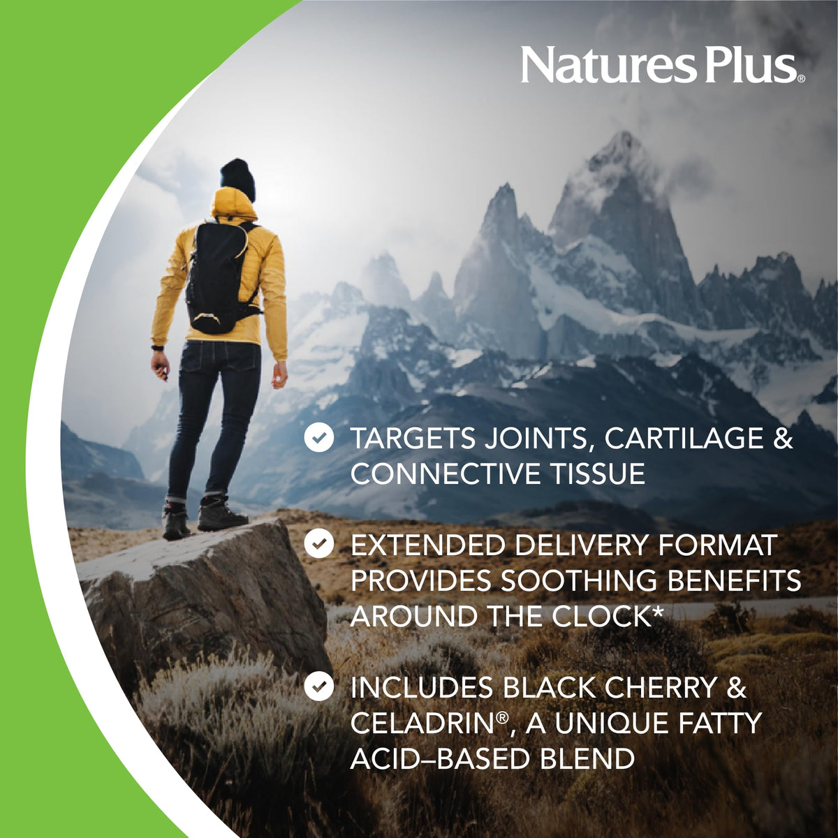 NaturesPlus Ultra Rx-Joint Triple Strength 120 comprimés, côté du flacon