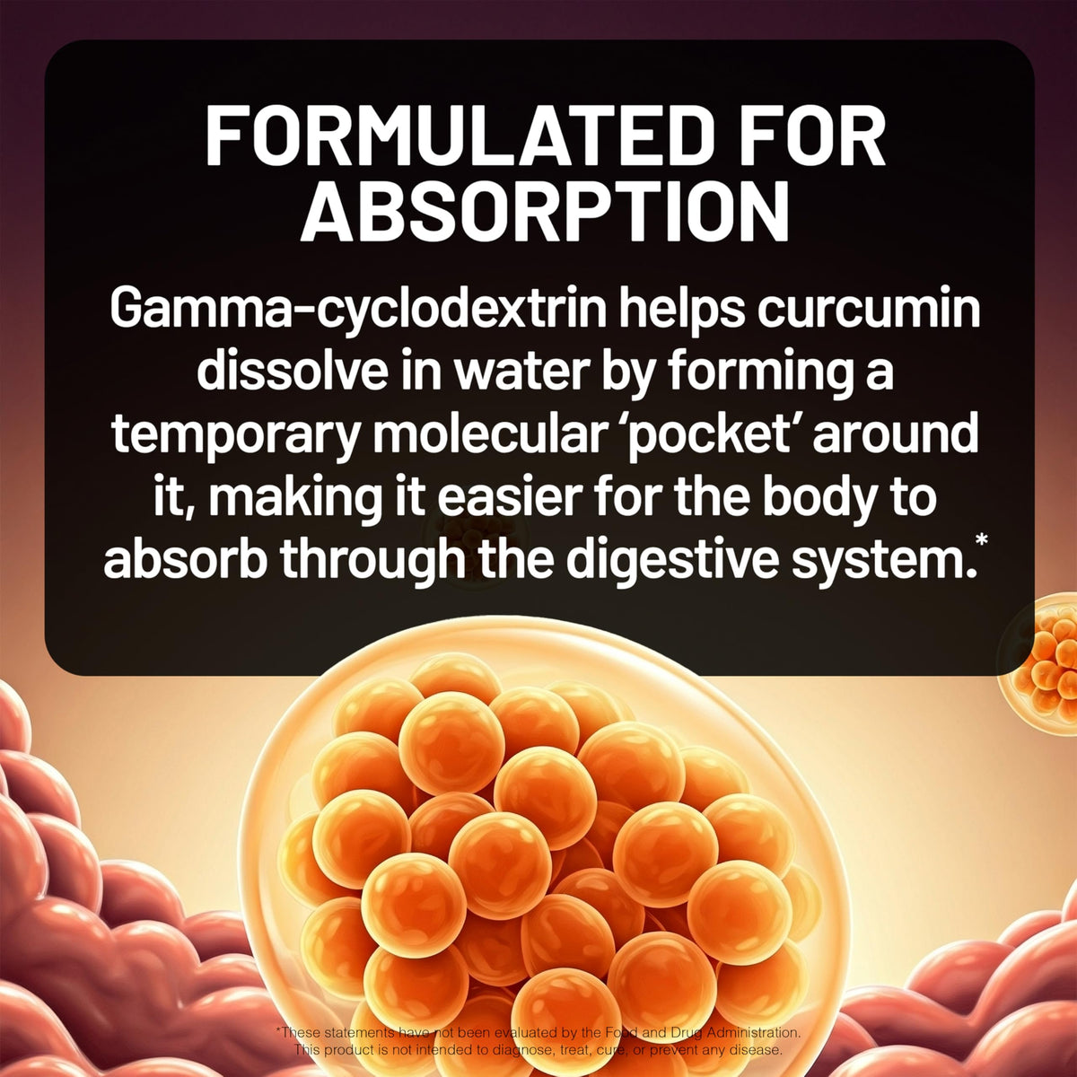 NatureWise Curcuma Curcumin 1000mg étiquette avec informations nutritionnelles
