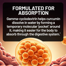 NatureWise Curcuma Curcumin 1000mg étiquette avec informations nutritionnelles