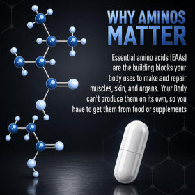 NAUTILUS Muscle Code Capsules Acides Aminés Essentiels avec d'autres compléments