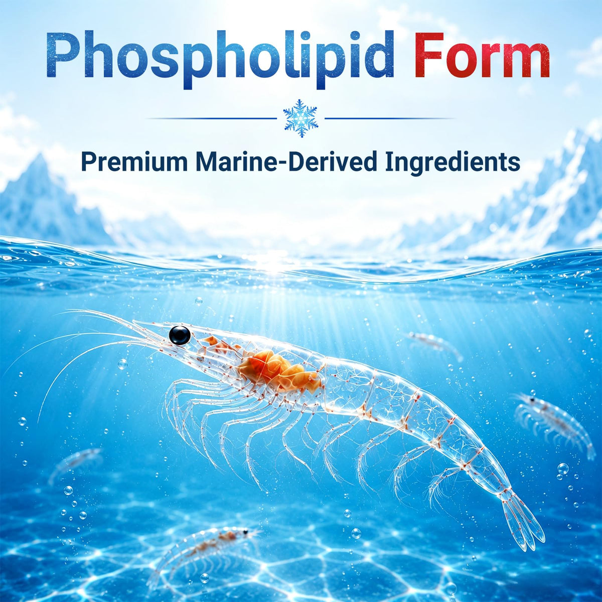 Navobary Huile de Krill 1000mg gélules softgels ouvertes