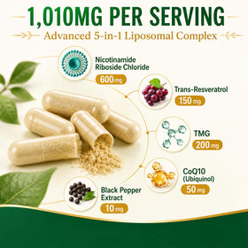 NBOOCUP Complément Alimentaire - Capsules de Nicotinamide Riboside