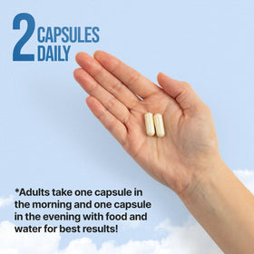 NERVEREVERSE Complément Alimentaire 60 Capsules avec ingrédients en arrière-plan