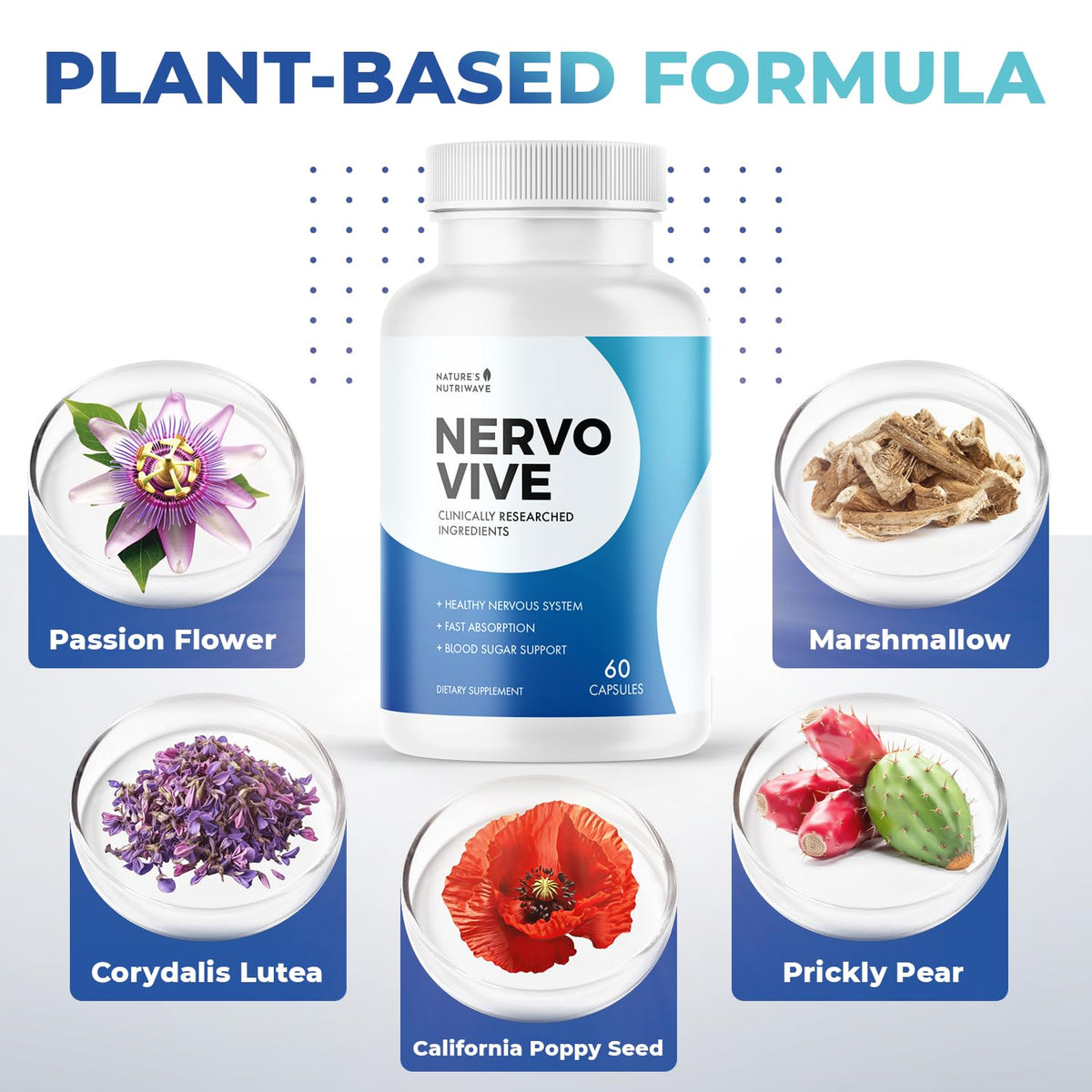 Nervovive capsules ouvertes avec deux capsules sur une table