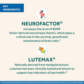 NEURIVA Cerveau + Yeux capsules avec des ingrédients