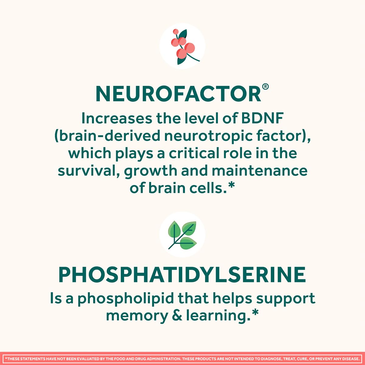 NEURIVA Complément Alimentaire et application BRAIN GYM