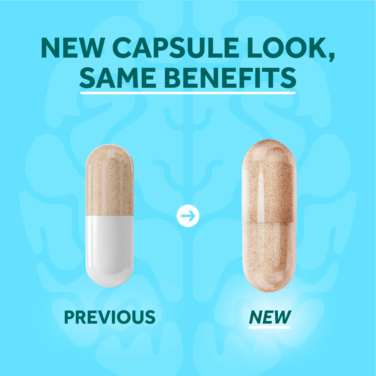 NEURIVA Plus Complément Alimentaire, emballage de 30 capsules